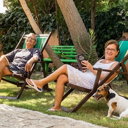 別荘 The Peacock House