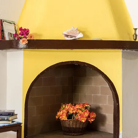 Semesterbostad The Peacock House